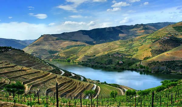 Ruta del Vino